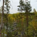 Очередной раз на базе отдыха Талвисъярви турбаза Талвисъярви в Карелии отдых летом и осенью