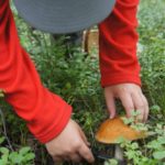 ОЧЕНЬ ПОНРАВИЛОСЬ на базе Талвисъярви 8212 наш лучший отдых за последние года три я не преувеличиваю турбаза Талвисъярви в Карелии отдых летом и осенью