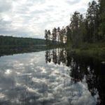 Неделя на базе Талвисъярви 8212 это мало турбаза Талвисъярви в Карелии отдых летом и осенью