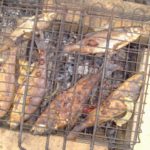 Самый лучший отдых и душой и теломмедовый месяц на базе Талвисъярви турбаза Талвисъярви в Карелии отдых летом и осенью