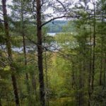 Это был настоящий ОТДЫХ турбаза Талвисъярви в Карелии отдых летом и осенью