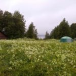 В Июне отдыхал в Карелии с друзьями на базе Талвисъярви турбаза Талвисъярви в Карелии отдых летом и осенью