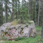 Сбыча мечт на базе Талвисъярви турбаза Талвисъярви в Карелии отдых летом и осенью