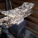 Очередной раз на базе отдыха Талвисъярви турбаза Талвисъярви в Карелии отдых летом и осенью