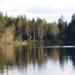 Oтдых в Карелии с женой на базе Талвисъярви турбаза Талвисъярви в Карелии отдых летом и осенью