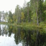 Самый лучший отдых и душой и теломмедовый месяц на базе Талвисъярви турбаза Талвисъярви в Карелии отдых летом и осенью