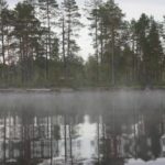 ОЧЕНЬ ПОНРАВИЛОСЬ на базе Талвисъярви 8212 наш лучший отдых за последние года три я не преувеличиваю турбаза Талвисъярви в Карелии отдых летом и осенью