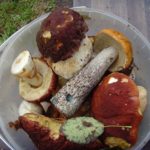 Самый лучший отдых и душой и теломмедовый месяц на базе Талвисъярви турбаза Талвисъярви в Карелии отдых летом и осенью