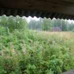 ОЧЕНЬ ПОНРАВИЛОСЬ на базе Талвисъярви 8212 наш лучший отдых за последние года три я не преувеличиваю турбаза Талвисъярви в Карелии отдых летом и осенью