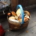 Отличное место для тихого отдыха в любой компании турбаза Талвисъярви в Карелии отдых летом и осенью