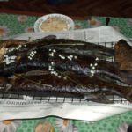 Невероятный отдых в Республике Карелия на озерах Талвисъярви и Палоярви турбаза Талвисъярви в Карелии отдых летом и осенью