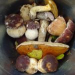 Самый лучший отдых и душой и теломмедовый месяц на базе Талвисъярви турбаза Талвисъярви в Карелии отдых летом и осенью
