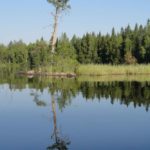 Чтобы понять для тебя ли Карельская рыбалка надо туда съездитьно совмещать это с первым выездом на рыбалку не советуюИ ещё неделя на базе 171Талвисъярви187 это конечно мало турбаза Талвисъярви в Карелии отдых летом и осенью