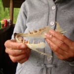 Второй год мы отдыхем на базе Талвисъярви турбаза Талвисъярви в Карелии отдых летом и осенью