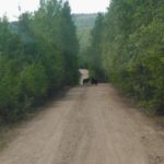 Невероятный отдых в Республике Карелия на озерах Талвисъярви и Палоярви турбаза Талвисъярви в Карелии отдых летом и осенью