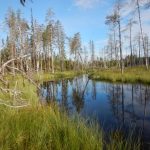 Северное солнце в Карелии Северное солнце в Карелии